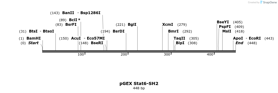 65755_map