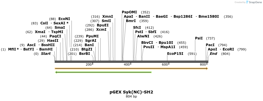 65763_map