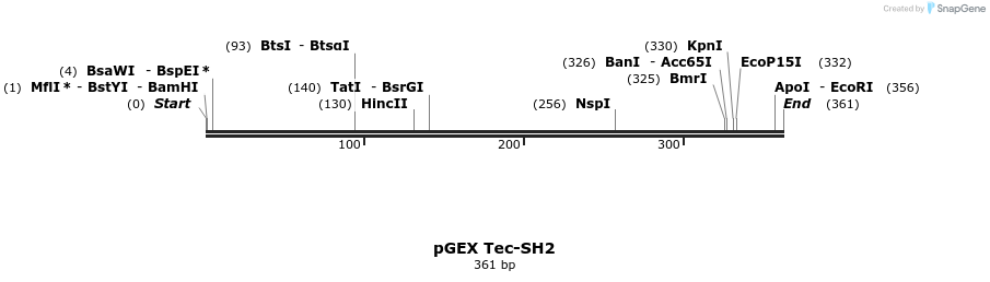 65765_map