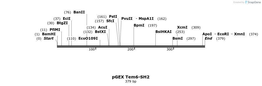 65767_map