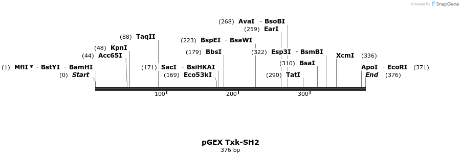 65773_map