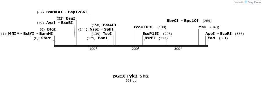 65775_map