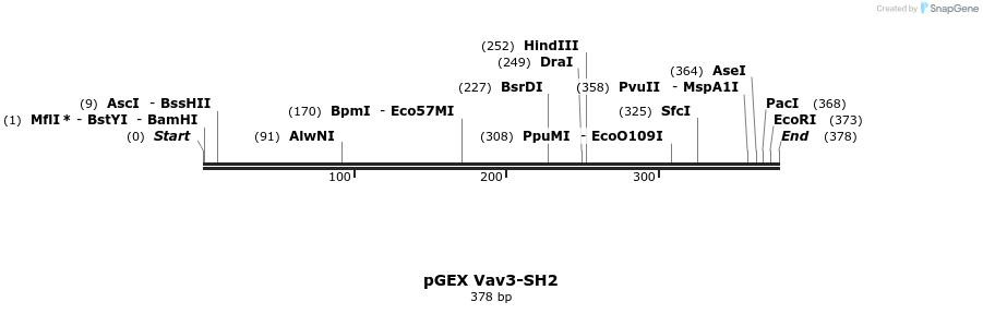 65781_map