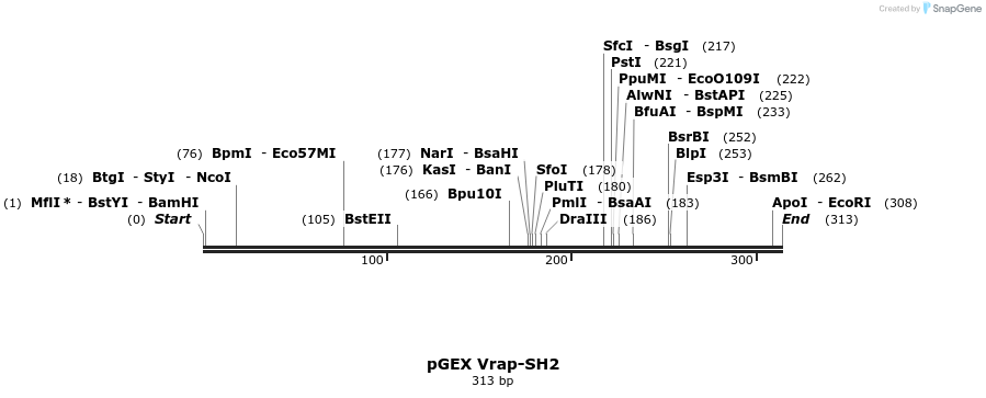 65783_map