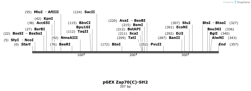 65787_map