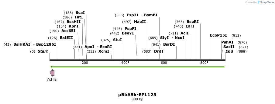 65792_map