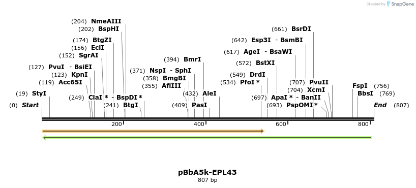 65795_map