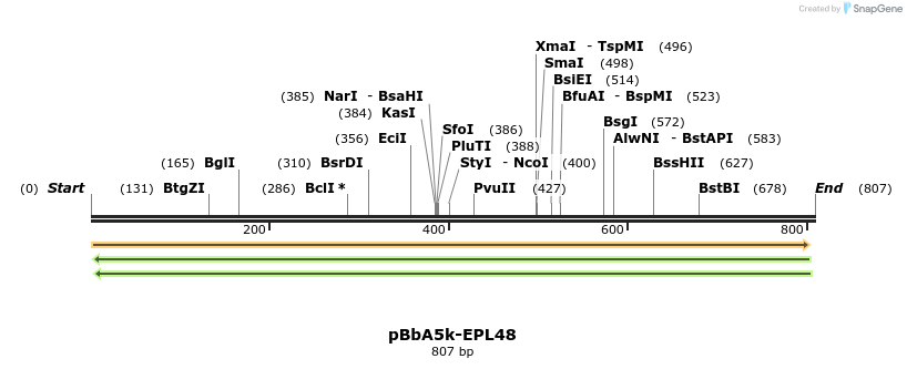 65796_map