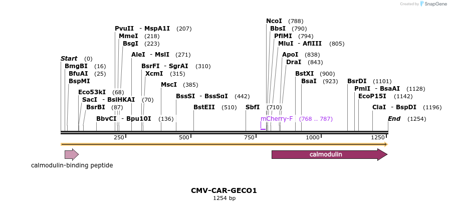 65798_map