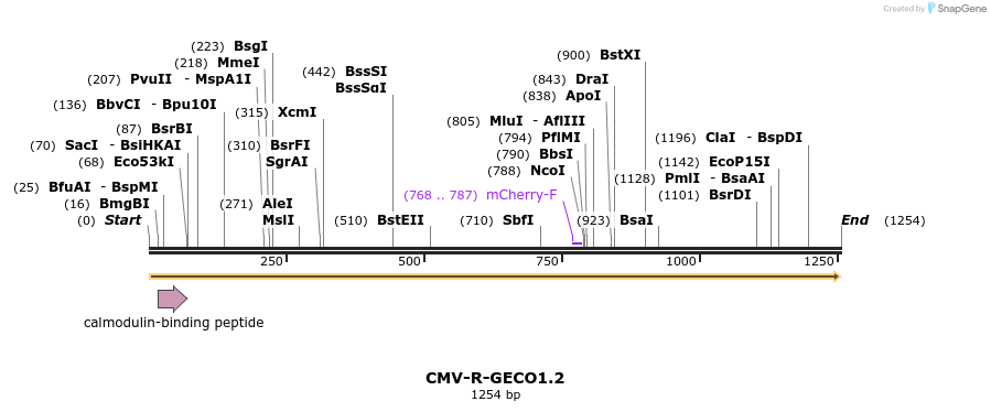 65799_map