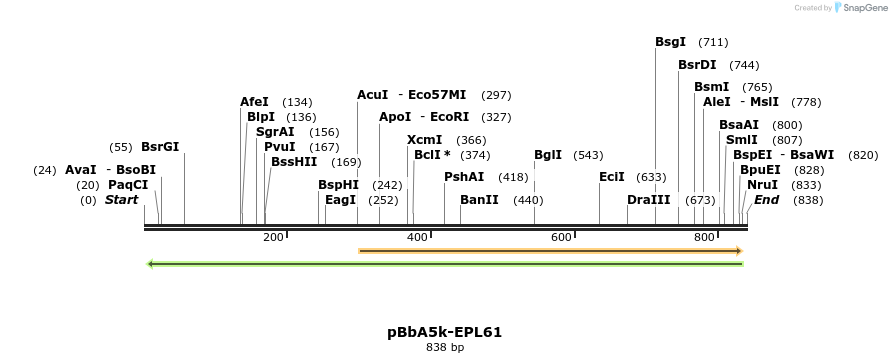 65802_map