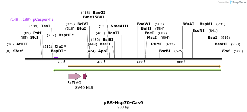 65817_map