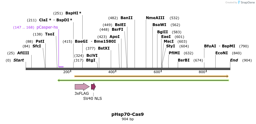 65819_map