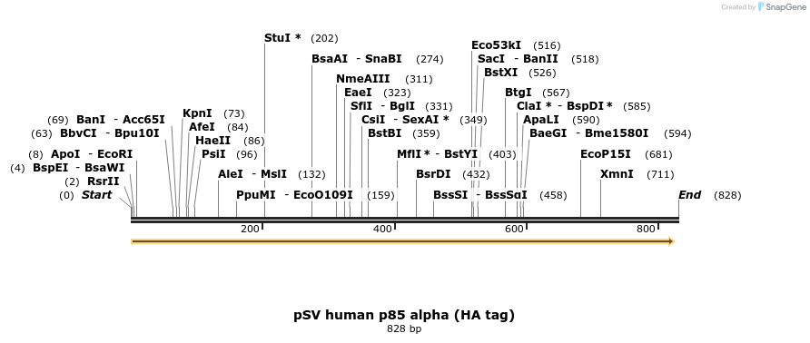 65829_map