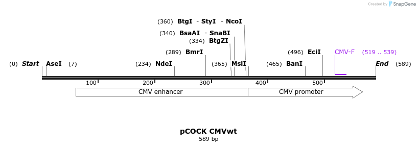 65832_map