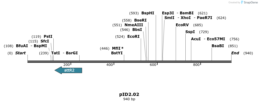 65836_map