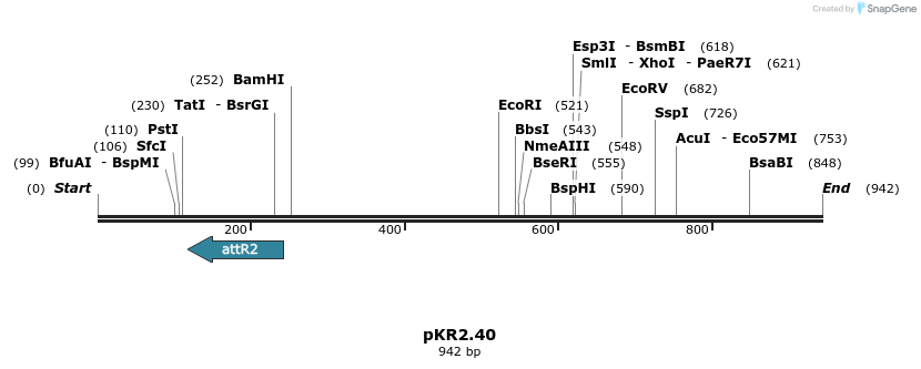65839_map