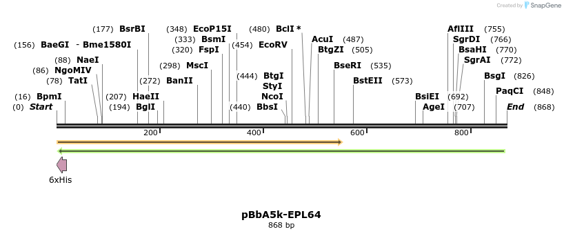 65841_map
