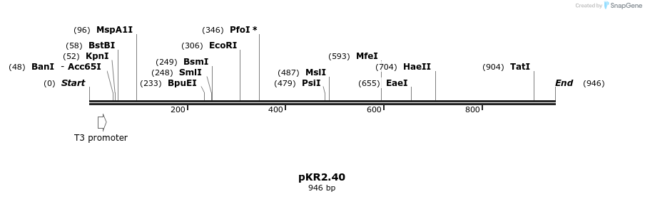 65842_map