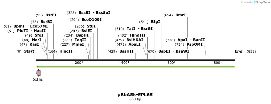 65843_map