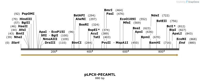 65848_map