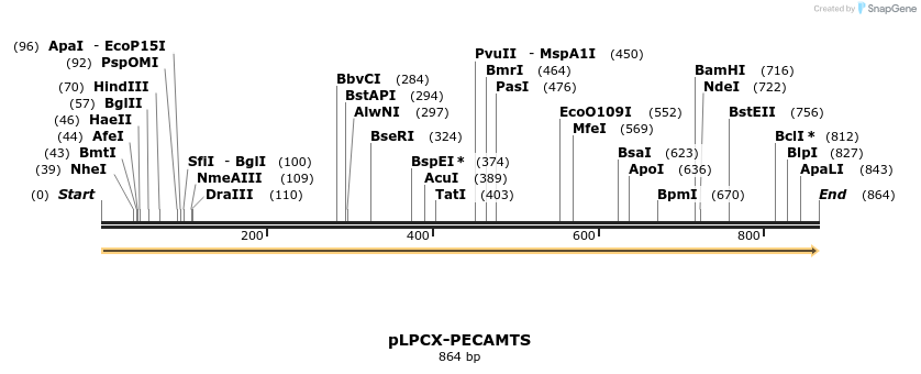 65850_map