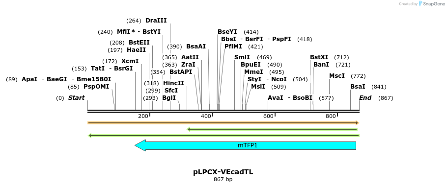 65853_map