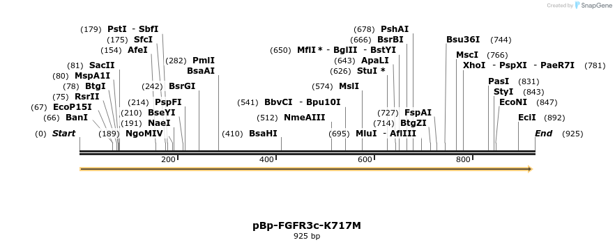 65856_map
