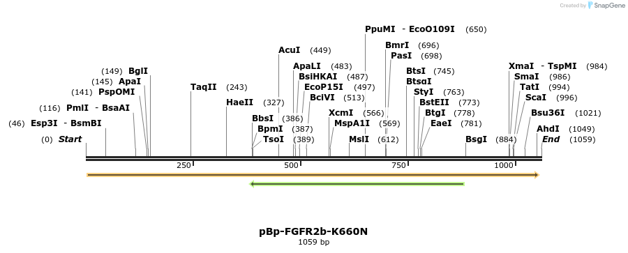 65859_map