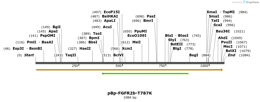 65861_map