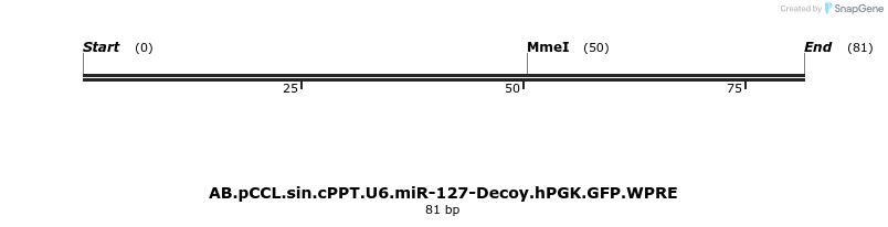 65869_map