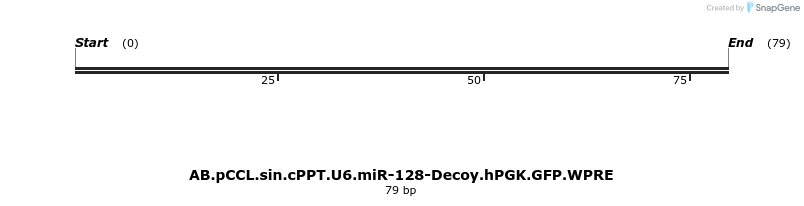 65871_map