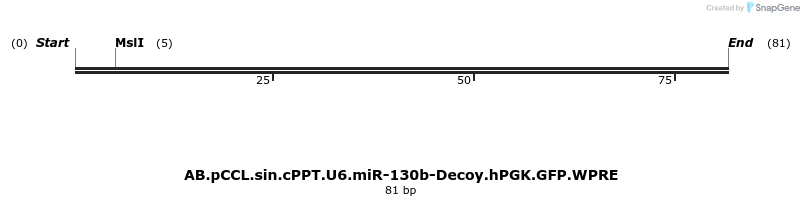 65875_map