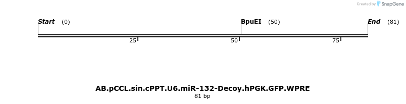 65877_map