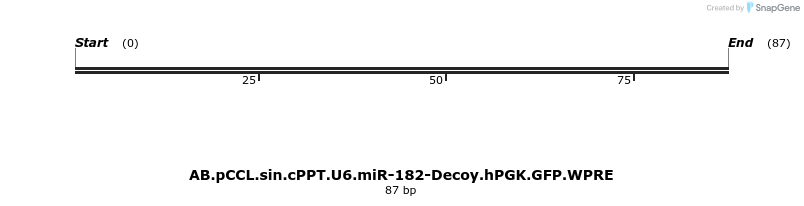 65895_map