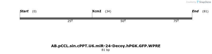 65907_map