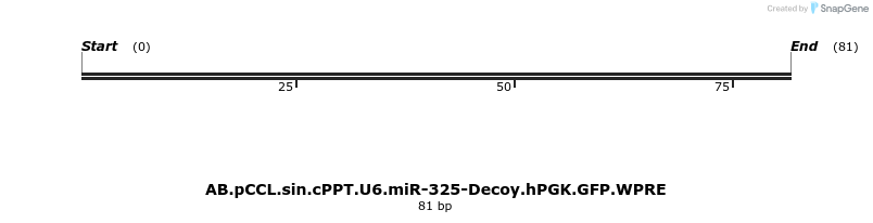 65923_map