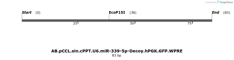 65931_map