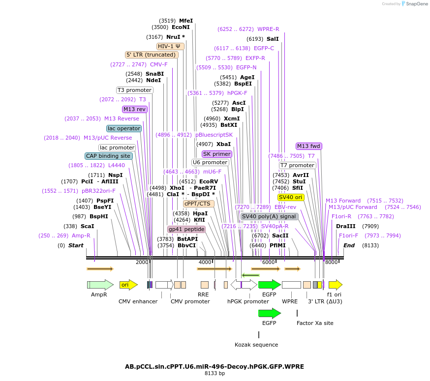 65948_map