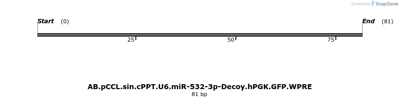 65951_map