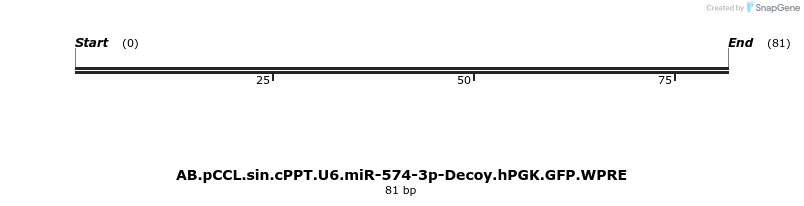 65953_map