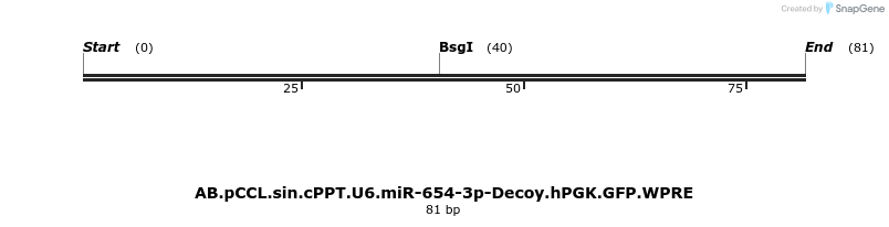 65959_map