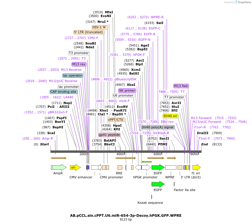 65960_map