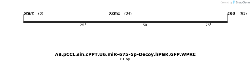 65965_map