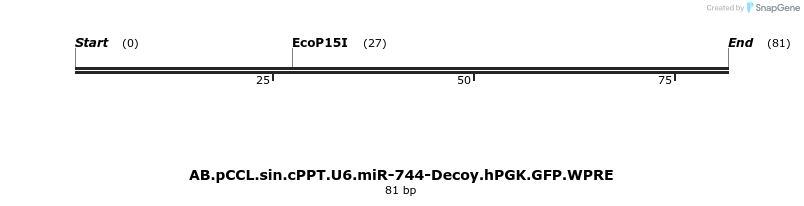 65969_map