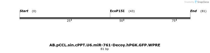65973_map