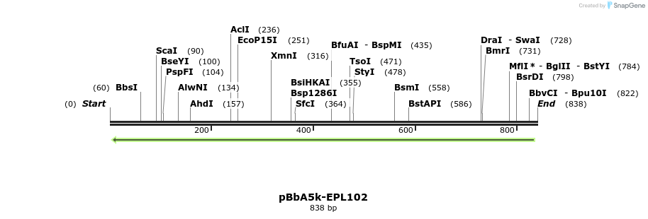 65981_map