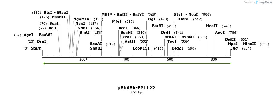 65982_map
