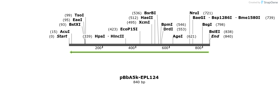 65983_map