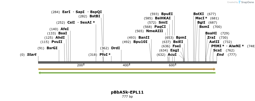 65996_map